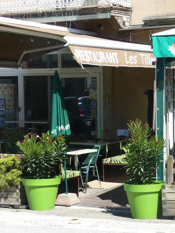 Hotel Les Tilleuls De Pareloup A Salles-Curan