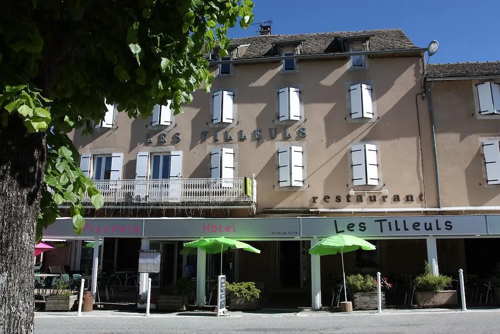 Hôtel Les Tilleuls de Pareloup à Salles-Curan 2*,  France